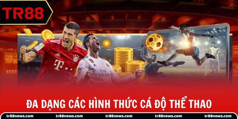 Đa dạng các hình thức cá độ thể thao