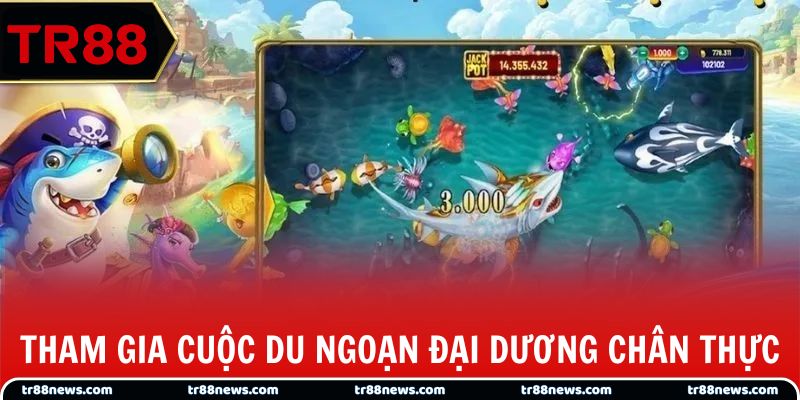 Tham gia cuộc du ngoạn đại dương chân thực